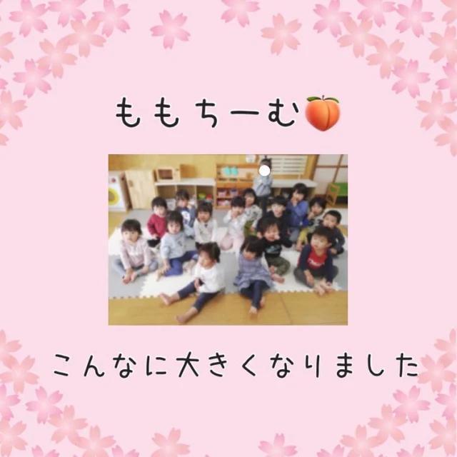 ・
ももちーむ🍑

あっという間に3月ですね🌸
4月から比べるととっても大きくなったももちーむさん
遊びの中でも成長が見られたり、お友達や異年齢児での関わりも増えてきていますよ☺️✨
1年でとっても成長しましたね🌱

#帯江認定こども園 #帯江 #こども園 #倉敷市
#こどものいる暮らし #2歳児 #1歳児 #育児担当制
#異年齢保育 #ももちーむ