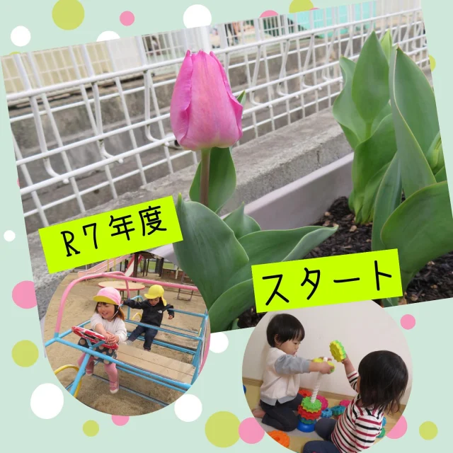 〜R7年度スタート〜

今日から新年度が始まりました！
冬に子ども達と植えたチューリップの球根が、日に日に芽を伸ばし、ついに咲いたチューリップ！
少し肌寒い4月でスタートしましたが、春は近づいてきており、次々とつぼみがふくらみ始めていますよ！
水やりをしながら、次はどのチューリップが咲くのか…楽しみにしていますよ！

今年度もどうぞよろしくお願い致します。

#新年度#進級#ご進級おめでとうございます #入園#ご入園#ご入園おめでとうございます#チューリップ#春#春を感じて #新年度のはじまり #保育園#小規模保育園#乳児#倉敷市