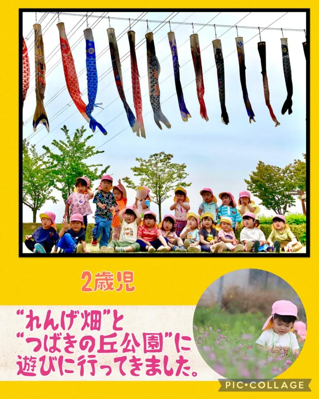 今日は、2歳児さんがマイクロバスに乗って、園外へ遊びに行きました。

最初は、保護者所有のれんげ畑に遊びに行かせていただきました。
たくさんのれんげを見て、「お花いっぱーい！」と大喜び！
子どもたちの腰くらいの高さまであったので、
しっかり歩きながら、奥まで摘みに行っていました。
たくさんのれんげやシロツメクサを摘んで楽しみましたよ！

そのあとは、里庄にあるつばきの丘公園へ移動。
たくさんのこいのぼりが飾ってあったので、
写真を撮り、お昼ご飯のおにぎりを食べました。

そして遊具でしっかり遊びました。

なので帰りのバスはクタクタ。みんなスヤスヤと
眠りながら帰りました！！

今日はお疲れかもです(^O^)

#公園　#れんげ　#こいのぼり#遠足 #春 #暖かい#2歳児 #バス #お弁当 #倉敷市 #中庄 #認可保育園 #保育園 #ひまわり乳児保育園