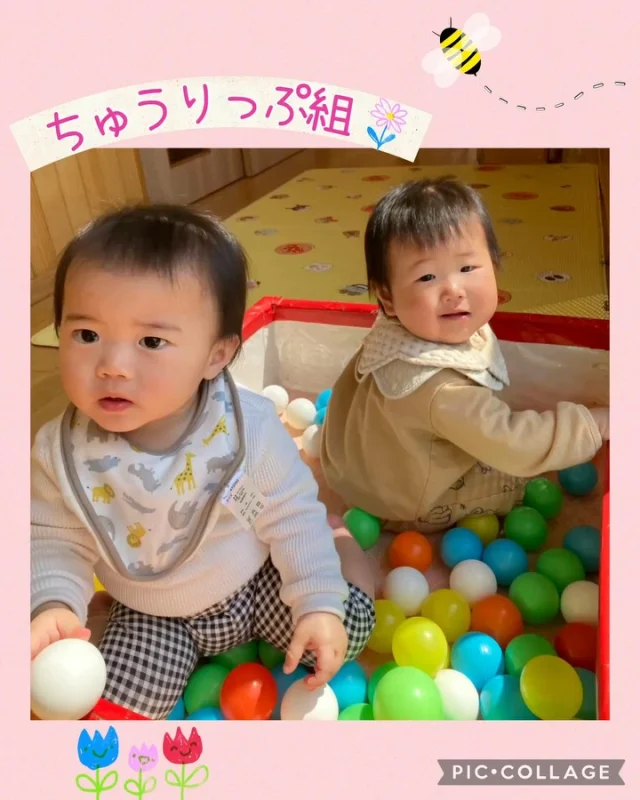 .
ちゅうりっぷ組です🌷
保育園にも慣れてきてニコニコ笑顔を見せてくれるようになってきました☺️
お友達にも興味があり、近くで一緒に遊んでいます‼︎
音の出る玩具やボールがお気に入り♪

これからどんなことができるかな⁇楽しみです👀✨

#ひまわり乳児保育園 #乳児保育園 #保育園　#0歳児　#1歳児　#倉敷市　#室内遊び　#つかまり立ち　#ずり這い　#玩具