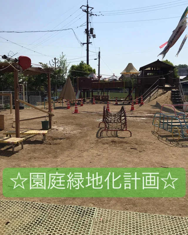 園庭に３本、木を植樹しました。
なんだかそれだけで癒されますねー。

園庭に魅力がいっぱいです💕

どんな遊びが展開されるのか、楽しみです🎶