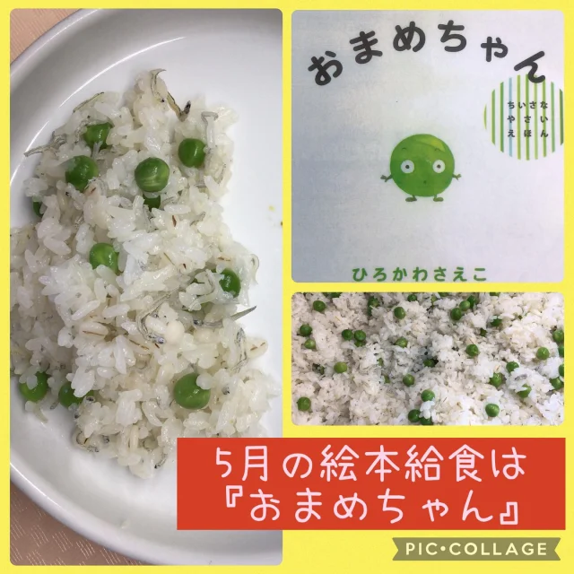 5月の絵本給食は『おまめちゃん』です🫛

ばら組・すみれ組さんが、アラスカ豆のさやむきをしてくれました😊
子供たちが真剣にむいてくれた豆を、給食室で茹でてご飯と混ぜて豆ご飯の完成🫛

自分たちがむいた豆に気づき、たくさん食べてくれました✨