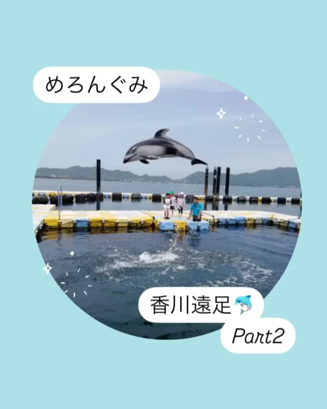 めろん組🍈
〜香川遠足part2〜

イルカの後はまたバスに乗り5分程で着く
海で遊びました🏝
ついてすぐにカレーライスを食べましたよ🍛
お腹いっぱいになると海へ全力でダッシュ💨
シーグラスや松ぼっくりを拾う子もいれば
木登りする子もいたりと
それぞれ好きなことをして遊んでいました！
カヤック体験では興味のある子から乗りました🚣‍♂️
自分でも漕いでみたりし、
インストラクターの方に「上手！」と
褒められる子もいましたよ✨

また後日、海で拾った松ぼっくりや
シーグラスを使って製作しました！
素敵な製作がたくさん出来上がりましたよ💗

#こども #かがわ #うみあそび #製作 ＃木登り#園外保育 ＃異年齢＃シーグラス＃カヤック