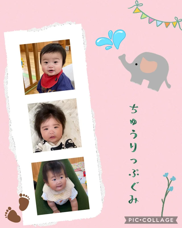 .
ちゅうりっぷ組です🌷
少しずつできることも増えてきて、身体を動かすことも
楽しくなってきました✨
これがしてみたい！これができるかなー？と試しながら
斜面マットを上り下りしたり押し車に乗ったり
しています。
お友だちにも興味が出てきたようで隣でにこにこ
しながら遊んでいる姿はとっても可愛いです😆♪

#ひまわり乳児保育園 #乳児#保育園#0歳児#倉敷市
#認可保育園#廊下あそび#斜面マット#押し車
#壁面遊具#ずり這い#這い這い#つかまり立ち#玩具