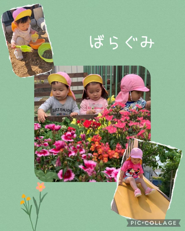 .
ばら組の様子です🌹

外遊びでは季節の花や虫を見たり砂場や滑り台、シャボン玉をしたりして楽しく遊んでいます☀️
室内遊びでは指先を使った遊びやままごと、お世話遊びなどを楽しむ姿が見られています！

6月からばら組に新しいお友だちも加わりみんなで仲良く遊んでいますよ♪

#ひまわり乳児保育園#倉敷市#異年齢#1歳児#2歳児#外遊び#室内遊び#6月