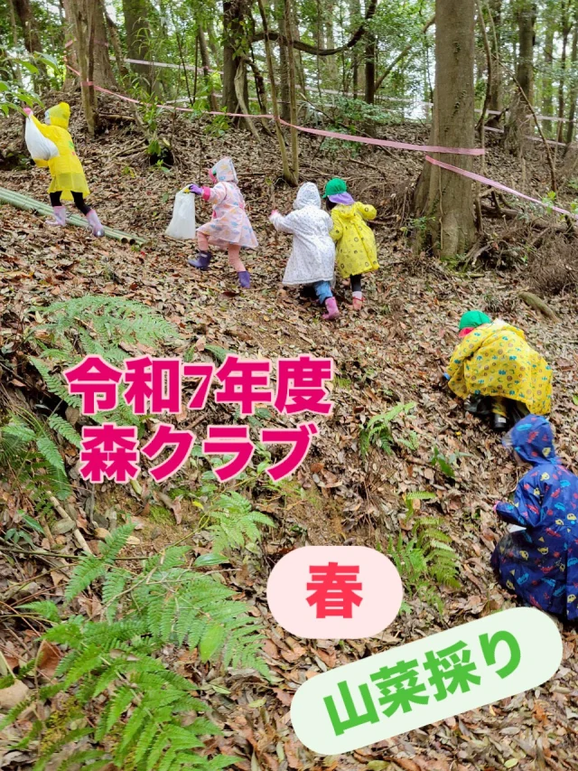 令和7年度の森クラブ、春と夏で2回活動しました。
春は、吉備中央町の山に行きました。
山菜採りを教えてもらって、こごみやわらびを採ったり、
山の中で竹やロープで作った遊び場で試したり、
木に巻き付いていたツルで木登りしようとしたり、
近くの牛小屋も案内してもらい、
たくさん遊ばせていただきました。
夏は、豪渓に川遊びへ。
気温は園庭より7度くらい低くて、川に入ってしまえば少し寒くなるくらいで、まさに、避暑地でした!
自然の中で遊ぶ！
いろいろな発見、変化、夢中になる要素がたくさんありますね✨