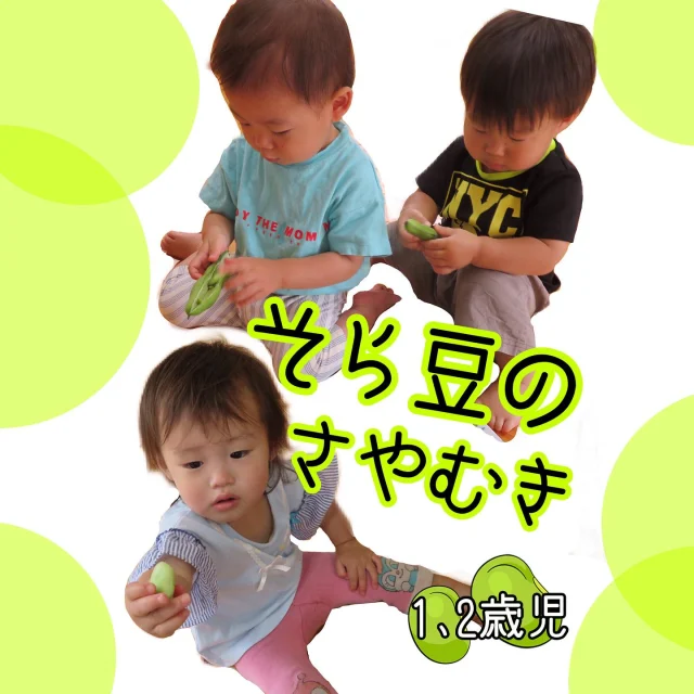 そら豆のさやむき（1.2歳児）

そら豆のさやむきに挑戦！
大きなさやから、そら豆を取り出そうと、色々と試行錯誤していた子どもたち。
さやを開け、大きなそら豆を取り出し喜んだり、中のふわふわにも気付き、「ふわふわ〜」と触ったりしていましたよ！
そら豆を使って、今回は“そら豆あん”を作り、クラッカーにのせて食べました。
そら豆が出てくる絵本を気に入り、「これ読んで〜」と何度も見たり、「そら豆あったな〜」と見つけ、絵本を楽しんでいましたよ。

#そら豆#そらまめ#そら豆のさやむき #さやむき#そら豆レシピ#そら豆あん#そら豆おやつ#食育#そら豆くん #そらまめくんのベッド#五感#感覚#保育園#小規模保育園#1歳児#2歳児#乳児#倉敷市